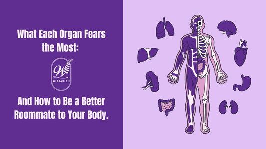 What Each Organ Fears the Most: And How to Be a Better Roommate to Your Body