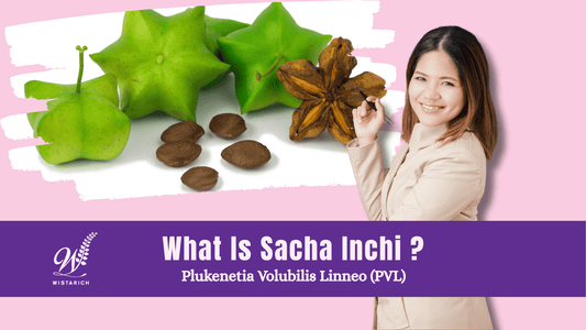 What is Sacha Inchi?